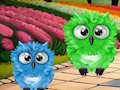 Shades and Hoots: Escape 