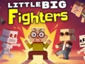 Little Big Fighters 