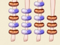 Stockings Dilemma 