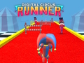 Digital Circus Runner 