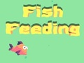 Fish Feeding 