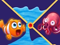 Clownfish Pin Out 
