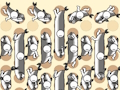 Fish gathering 
