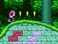 Mighty & Ray In Sonic 2 