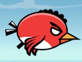 Infuriated bird 