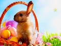 Easter Time Hidden Stars 