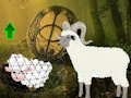 Help The Baby Sheep 