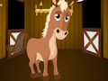 Save Naive Horse Foal 