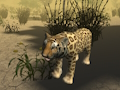 African Cheetah Hunting Simulator 