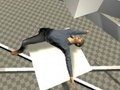 Ragdoll Test 