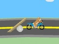 Delivery Dog 