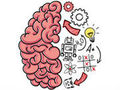 Brain Test 