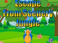 Escape from Scenery Jungle 