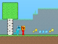 Fire and Water Stickman 