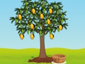 Life of a Tree 