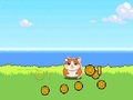 Hamster Kombat Clicker 