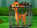Deer Dash to Freedom 