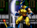 Wolverine - Adamantium Rage 