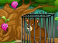 Caged Wilderness 