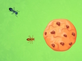 Ant vs Cookie 