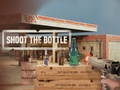 Shoot The Bottle 