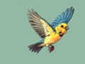 Help The Bird 