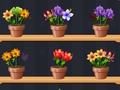 Good Flower Master 