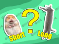Kids Quiz: Shortest And Longest 