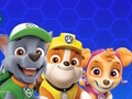 Paw Patrol 