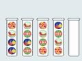 Ball Sort Puzzle 
