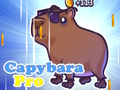 Capybara Pro 
