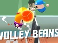 Volley Beans 