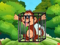 Free the Captive Ape 