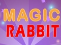 Magic Rabbit
