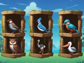 Meet The Birds 