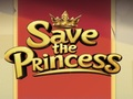 Save the Princess