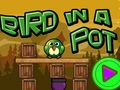 Bird In A Pot