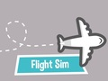 Flight Sim 