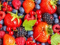 Berries Bonanza Jigsaw