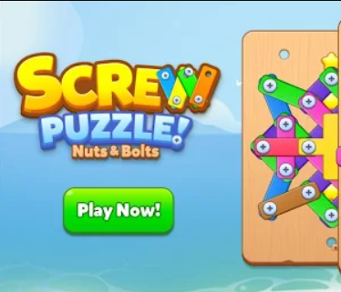 Screw Puzzle