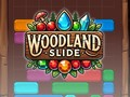 Woodland Slide