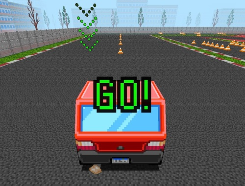 Car Driving Test