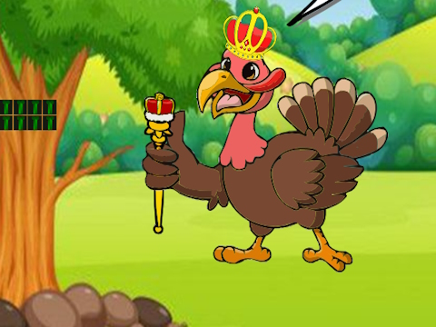 Prince Turkey Seeking Princess