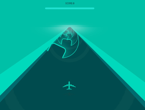 Fly