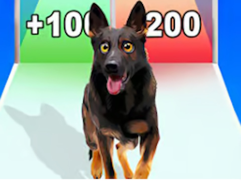 Dog Evolution Run