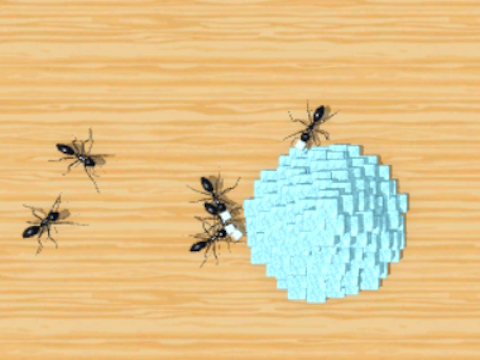 Ant Smasher 3D