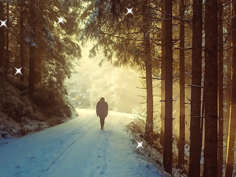 Winter Hidden Stars