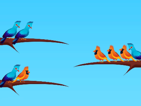 Bird Sort 