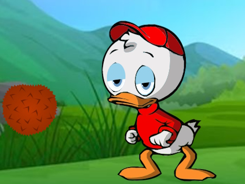 Duck Find The Twin