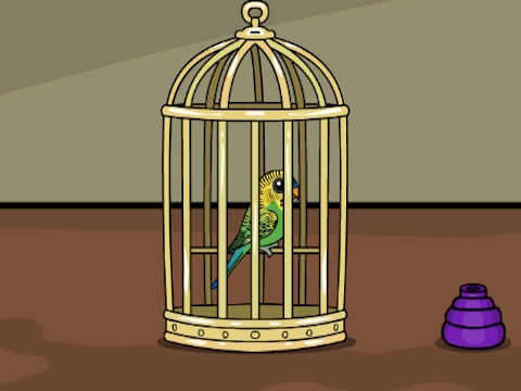 Green Budgie Escape